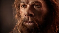 Grand mystère de la science, la fin de Neandertal expliquée par des