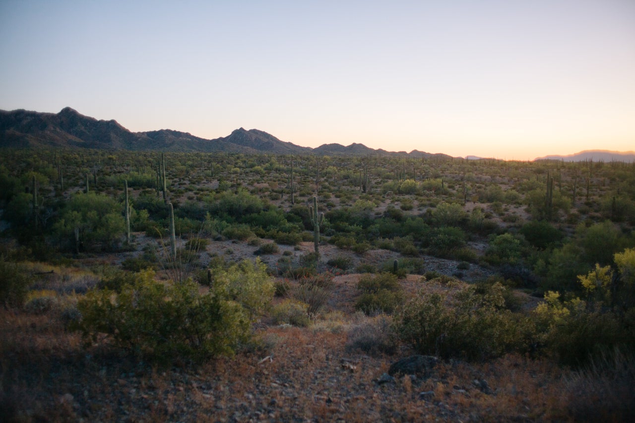 The Cabeza Prieta Wilderness is protected land.