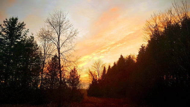 I Moved To A Tiny, Rural Cabin, And Never Felt More At