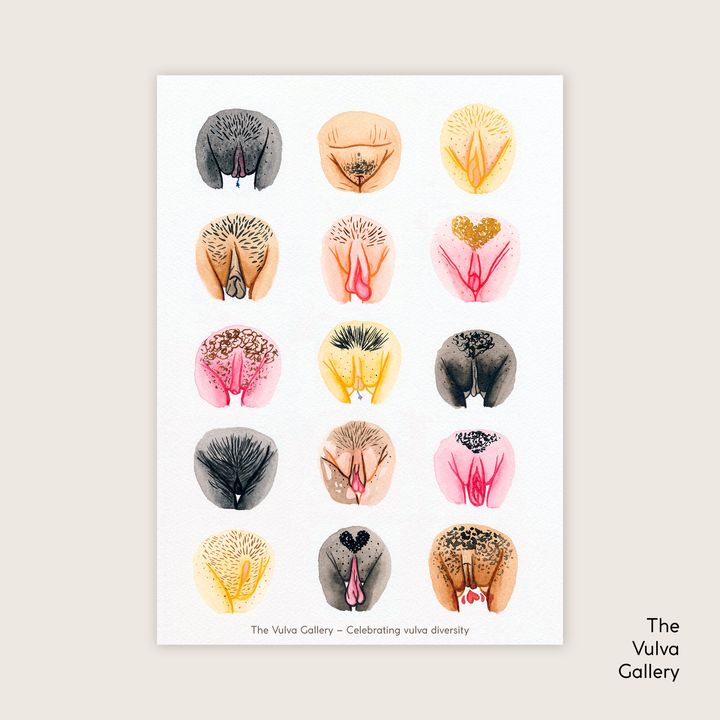 An empowering message about vulvas is getting a lot of attention, which was helped with this illustration by Hilde Atalanta of The Vulva Gallery.