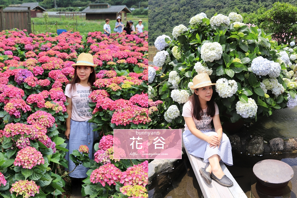 2019竹子湖繡球花季花谷海芋園新登場! 今年也加入這場繽紛的繡球花盛會, 在這裡你可以走進比人高的繡球花小徑, 而池畔一球球爆開的白色繡球花更是無敵阿! 還可以窩在被繡球花包圍的浴缸裡拍美美唷~ 現在,花谷繡球花大爆開,快來!