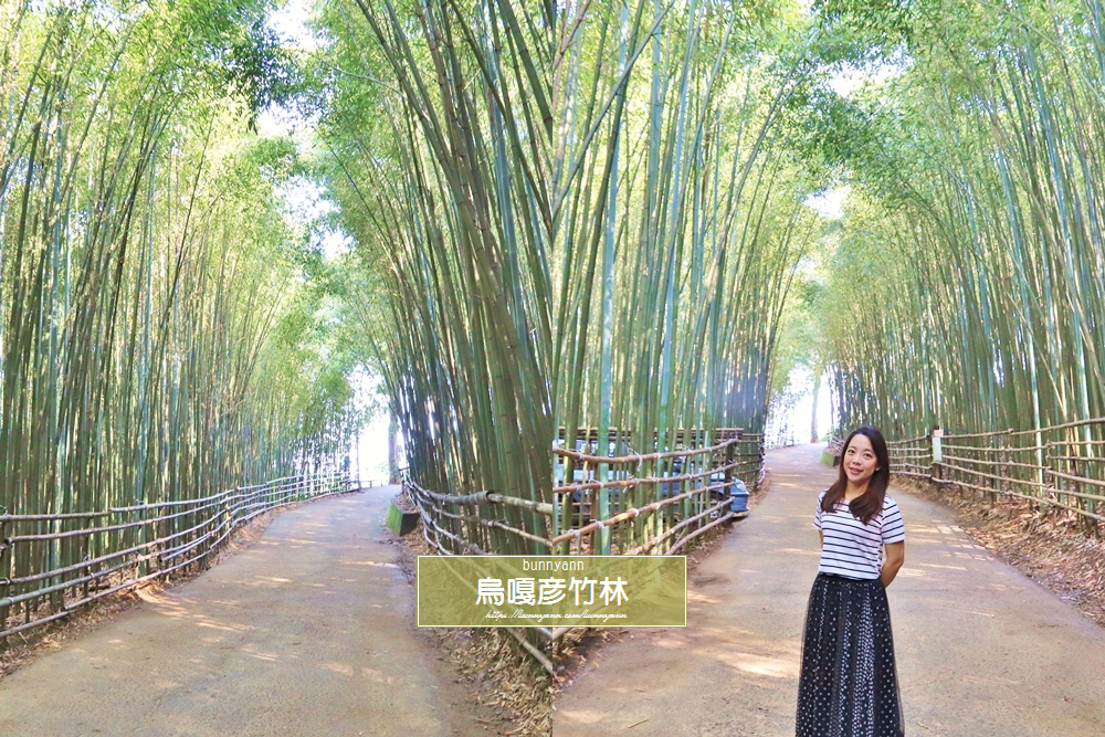 苗栗台版小京都,烏嘎彥竹林, 苗栗山上超像日本嵐山的竹林隧道, 之前已經在網路上紅了好一陣子, 呵~秘境早已經不是秘境囉~ 小兔趁著熱潮退去,一早衝來獨享美景, 美麗嵐山竹林景色,真像讓人置身於日本呢~ 這趟也順便分享上山路線給大家喔!