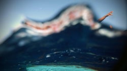 Acusan a la UE y los estados miembro de crímenes contra la humanidad por su política