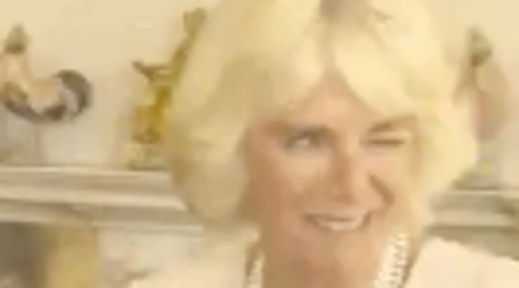 Winking Camilla Is The Best Meme Of Donald Trump's UK State Visit So