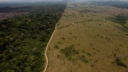 Bolsonaro se está cargando el