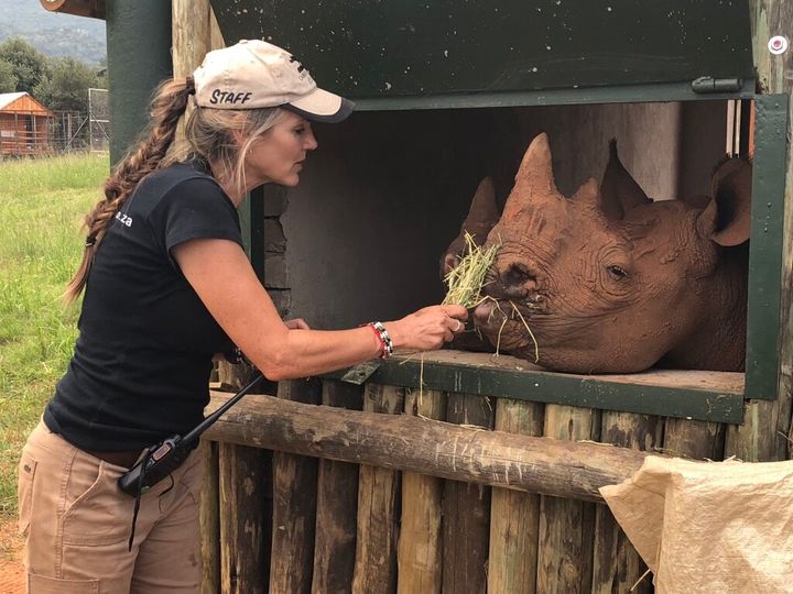 Petronel Nieuwoudt runs a sanctuary not far from South Africa’s Kruger National Park, which cares for orphaned and wounded rhinos.