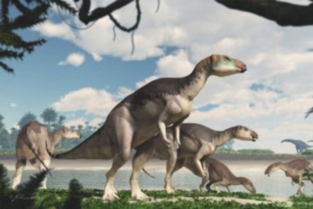 Scoperta in Australia una nuova specie dinosauri