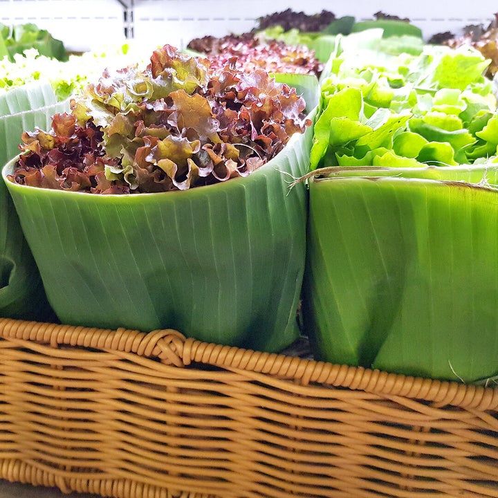 Por enquanto, o supermercado brasileiro está usando o material para embalar verduras.