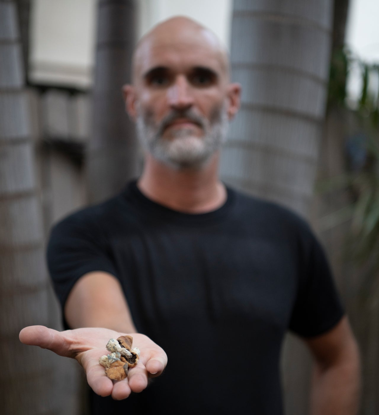 Jeremy Tucker holding some of the psychedelic mushrooms he takes to treat and prevent his cluster headaches.