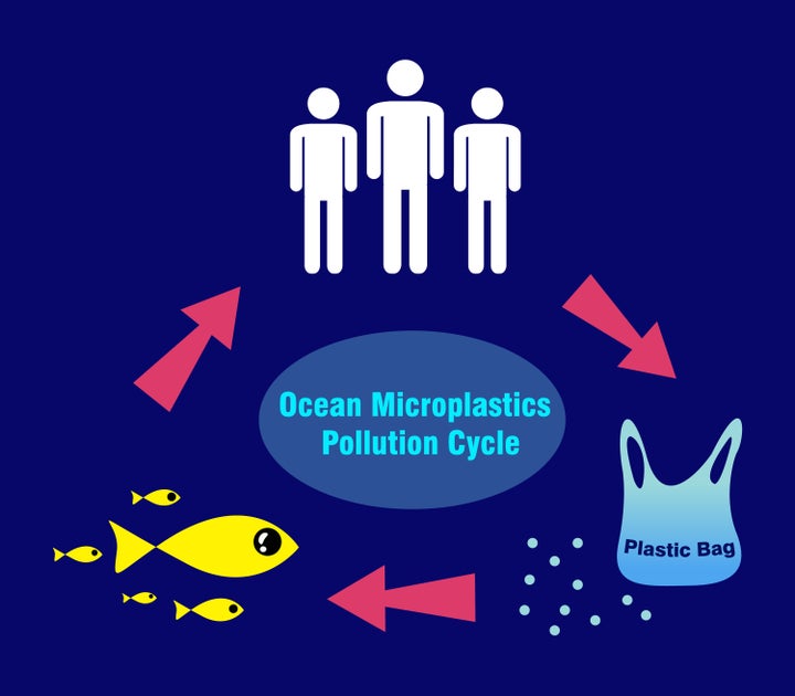 How microplastics potentially seep into our systems. 