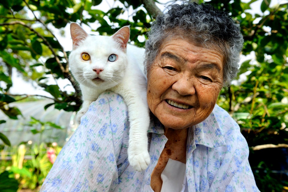 This Grandma And Her Cat Are The Cutest Best Friends Ever