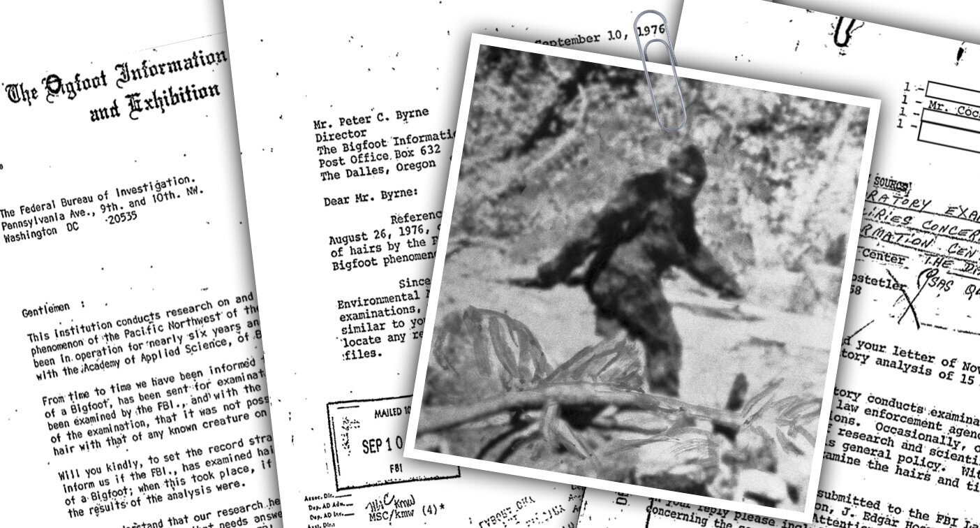 The truth is out there: FBI releases its file on Bigfoot 5cf82732210000690de6a827