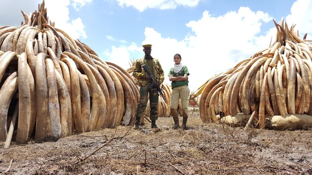 Raabia Hawa (R) and a ranger from the Kenya Wildlife Service (L) stand in front of elephant ivory and rhino horn in Nairobi National Park, Kenya. The piles were later set alight in a demonstration against poaching.