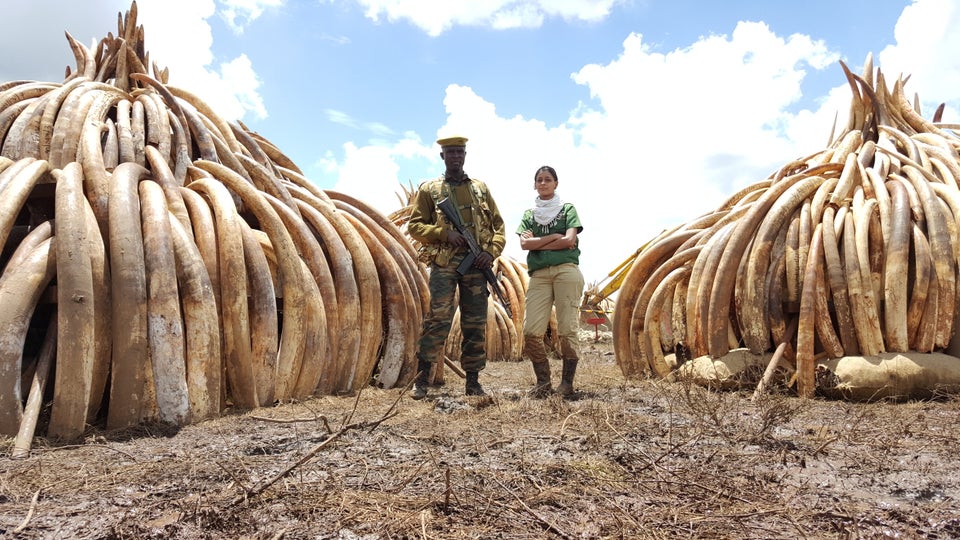 Raabia Hawa (R) and&nbsp;a ranger from the Kenya Wildlife Service (L) stand in front of elephant ivory and rhino horn in&nbsp;Nairobi National Park, Kenya. The piles were later set alight in a demonstration against poaching.