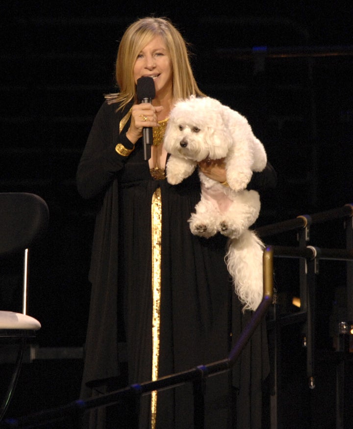 Barbra Streisand and her dog Sammie on tour in 2006.