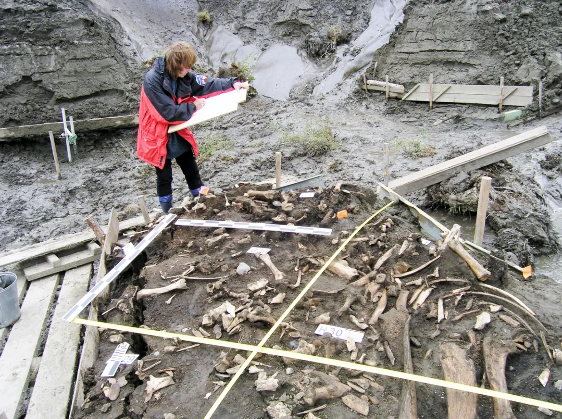 The site where the teeth were found (Getty)