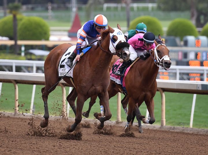 Horses race at Santa Anita in late May as controversy continues over the high number of horse deaths at the track in Arcadia, California.
