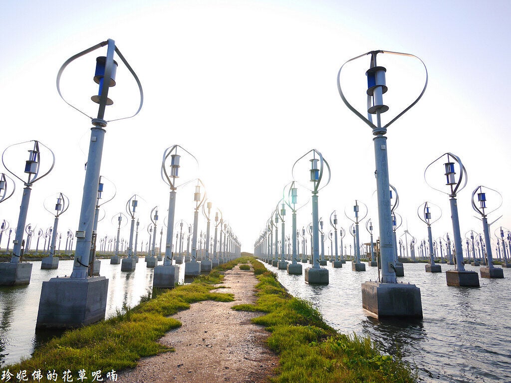 太陽快下山時來到王功小型風力發電廠,看看前陣子網路很夯的打卡景點,路邊種了一整排向日葵,蠻小朵的,剛開始還認不太出來,哈哈哈