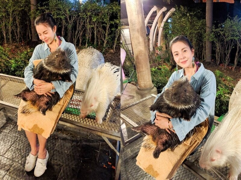劉馨如專欄:擄獲文青、潮人、貴婦的極樂清邁!輕奢華漫旅行程請笑納!