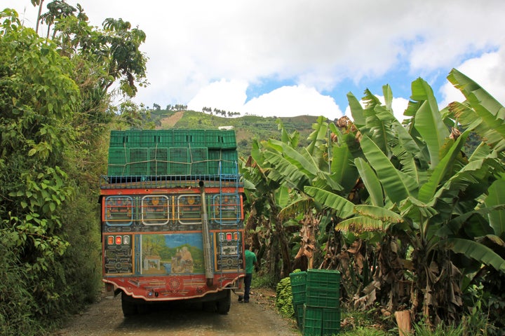 A loading truck with bananas for transporting, near El Jardin Antioquia, Colombia.