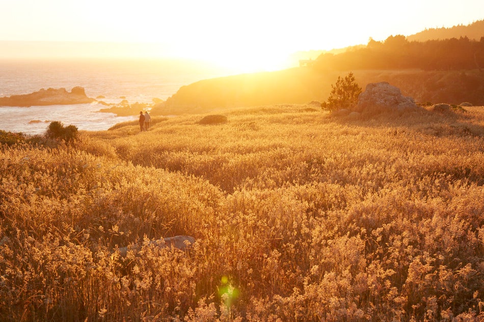 &ldquo;The coast of Mendocino is often as impressive as the more famous southern neighbor, Big Sur. A few years ago I shot the opening of Timber Cove, the renovation of one of the few larger beachfront properties on the Mendocino coastline, and the images from my shoot led to a fair amount of freaking out and reservations booked from my Bay Area friends who were not yet familiar with it," says Emily Nathan (@ernathan).