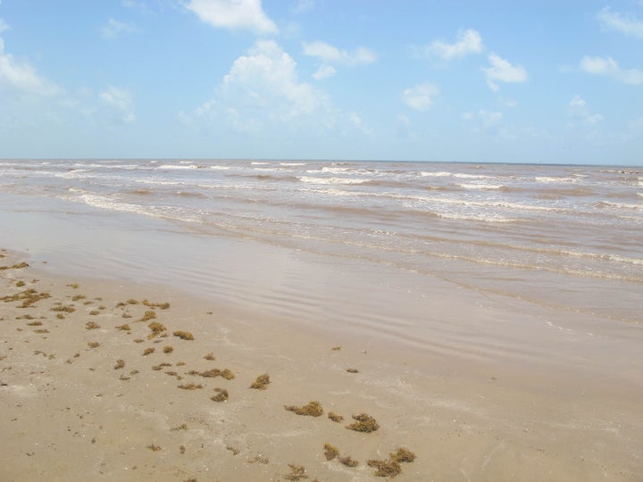 This year's “dead zone” in the Gulf of Mexico is forecast o be one of the largest in recorded history. Galveston Island, Texas, shown here, would be off the western end of the zone.
