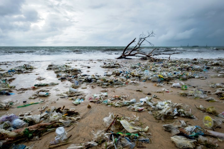 プラスチックゴミによる海洋・海岸汚染