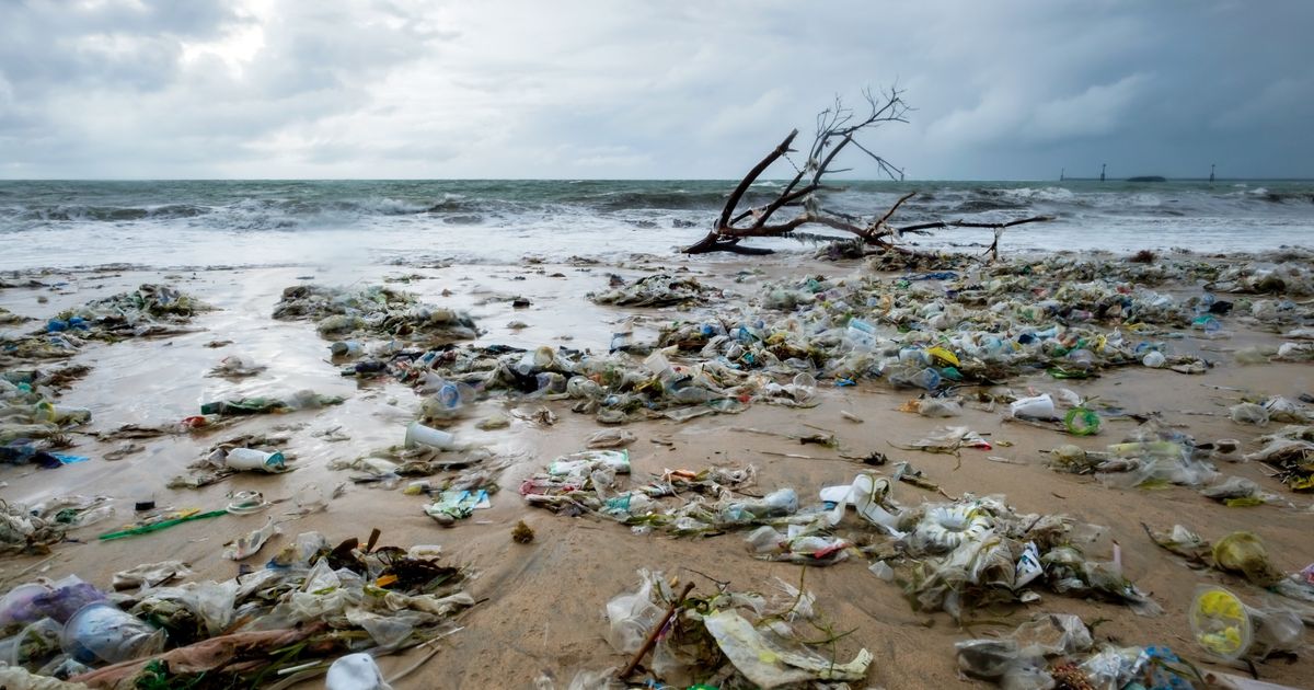 カナダ 使い捨てプラスチックを2021年にも使用禁止へ 世界の課題 とトルドー首相も危機感 ハフポスト