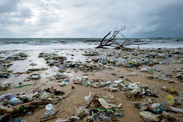 プラスチックゴミによる海洋・海岸汚染