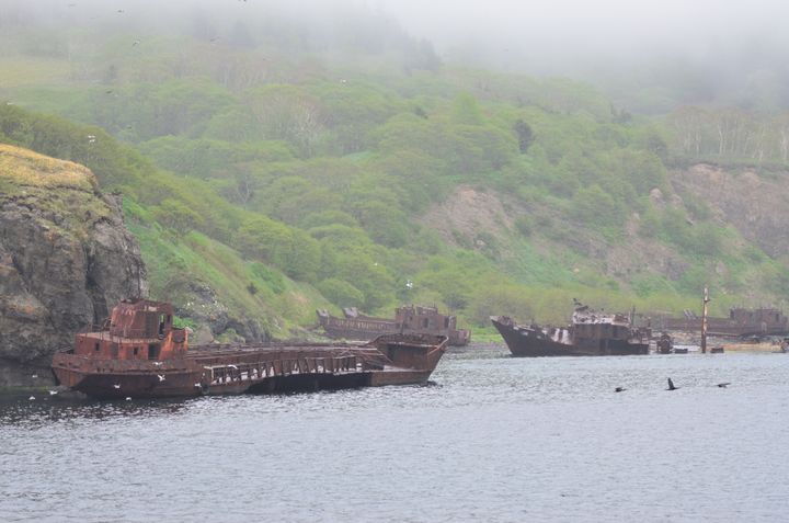 朽ちた船がそのまま海岸線に放置されていた＝2014年6月、色丹島