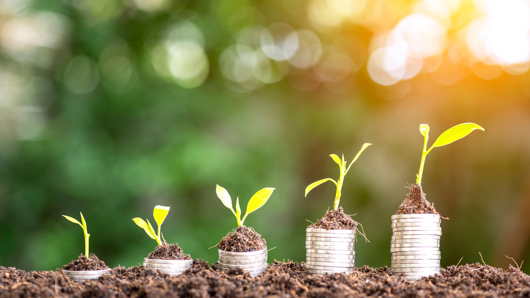 13 High Interest Savings Accounts That Don T Require A Huge