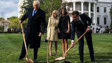 Donald Trump And Emmanuel Macron's Friendship Tree Is Dead, So Macron Is Sending Another