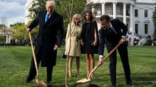 Donald Trump And Emmanuel Macron's Friendship Tree Is Dead, So Macron Is Sending Another