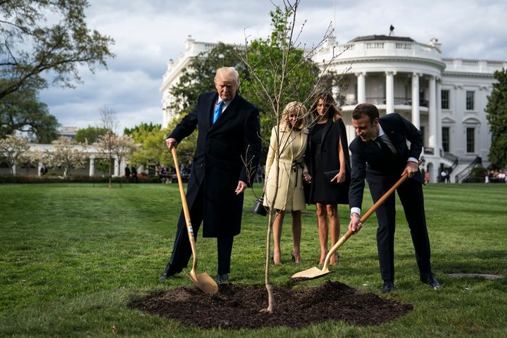 President Donald Trump and French President Emmanuel Macron planted a tree as first ladies Melania Trump and Brigitte Macron looked on in April 2018. The tree has since died.