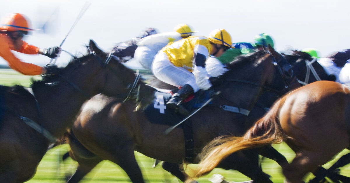 Horses Race to Their Deaths on Day One of the Cheltenham 'Festival' HuffPost UK Sport