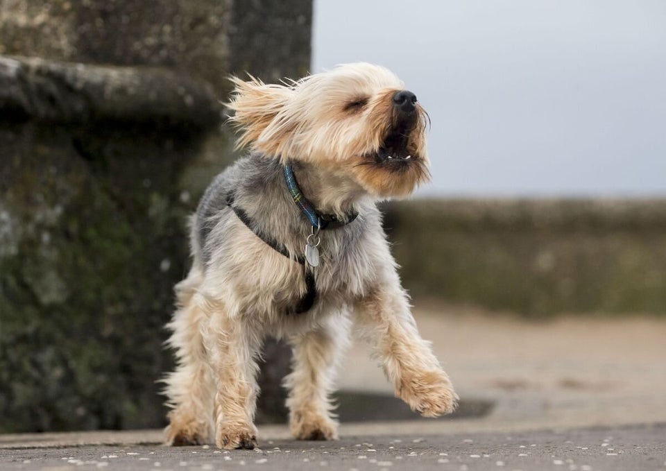 Storm Abigail