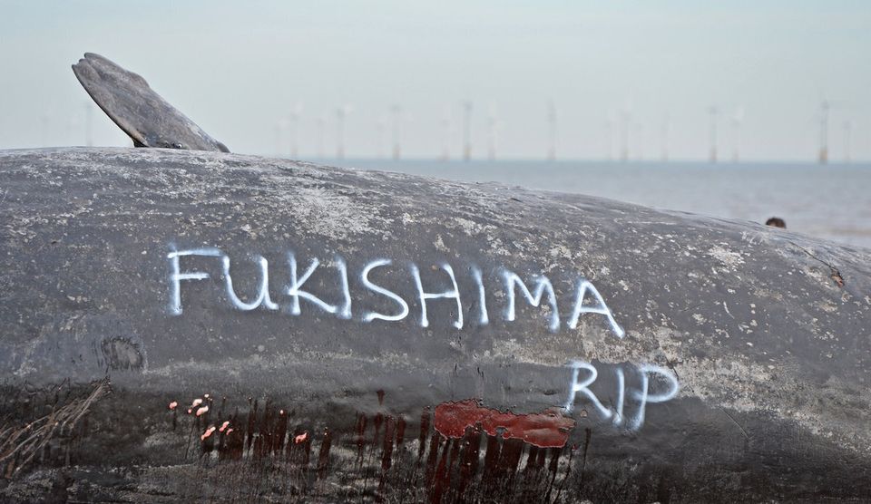 'Fukishima RIP'