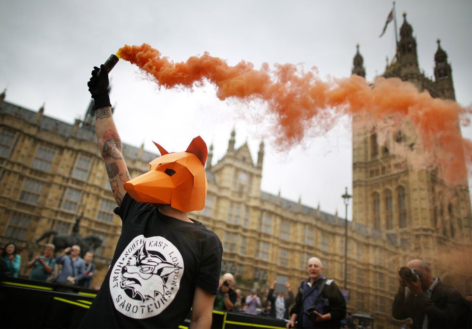 Brian May Protests Ahead Of The Fox Hunting Vote