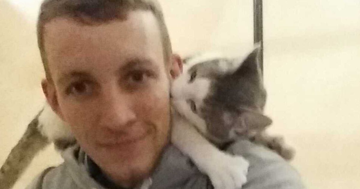 Heartwarming Moment Rescue Cat Chooses Man To Be His New Best Friend ...