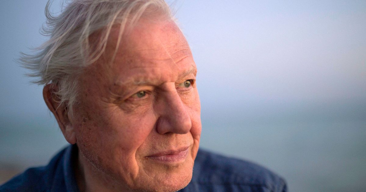 David Attenborough To Celebrate 90th Birthday With Special BBC ...