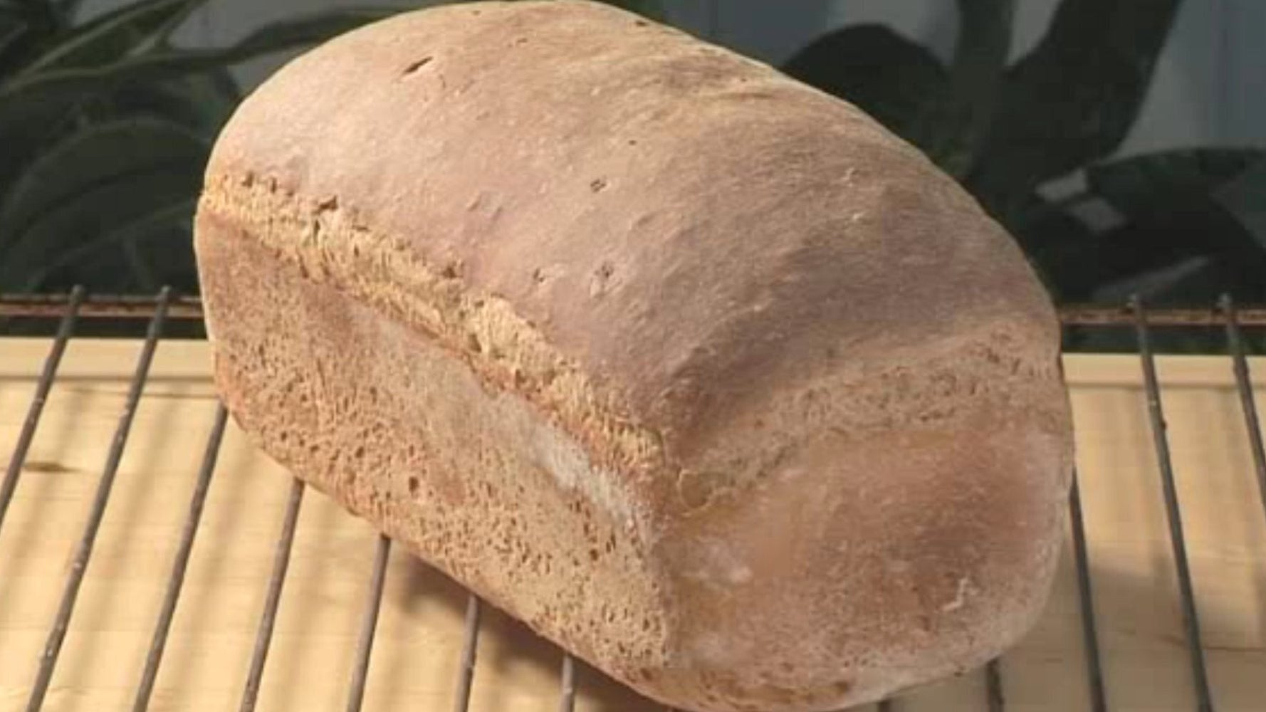bread-recipe-how-to-bake-rye-bread-huffpost-uk-life