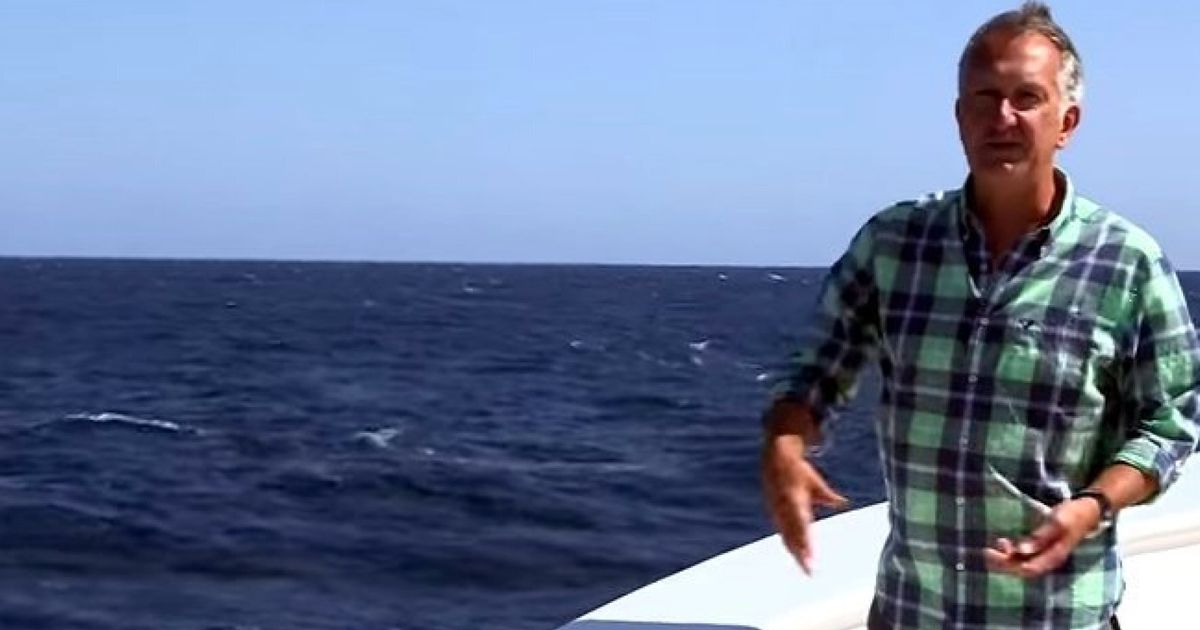 Blue Whale Shows Up BBC Presenter With Perfect Comic Timing | HuffPost ...