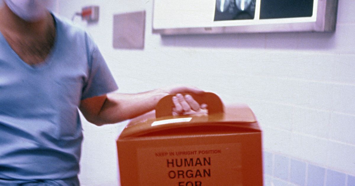Изъятие органа у живого донора. Трансплантация органов и тканей. Пересадка органов человека. Транспортировка органов для трансплантации.