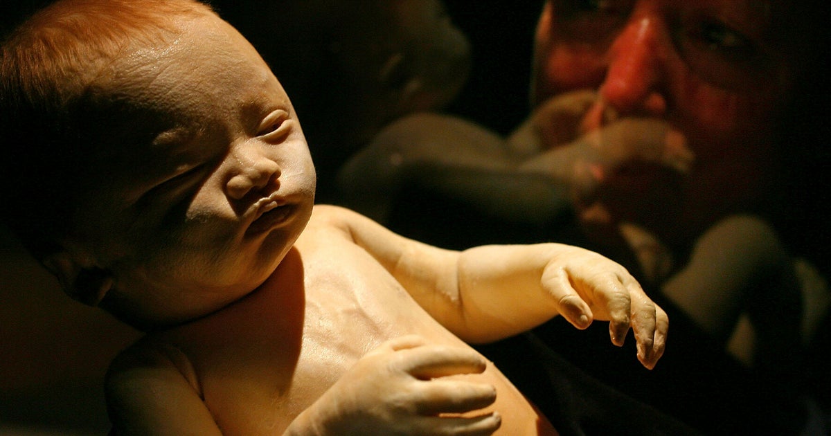 China's Cloning Factory Could One Day Produce Humans On Demand ...