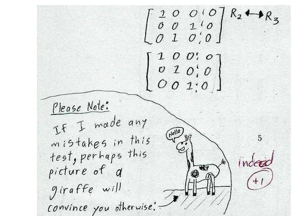 39 Ultimate Funny Exam Answer Fails | HuffPost UK Students 39 Ultimate Funny Exam Answer Fails | HuffPost UK Students