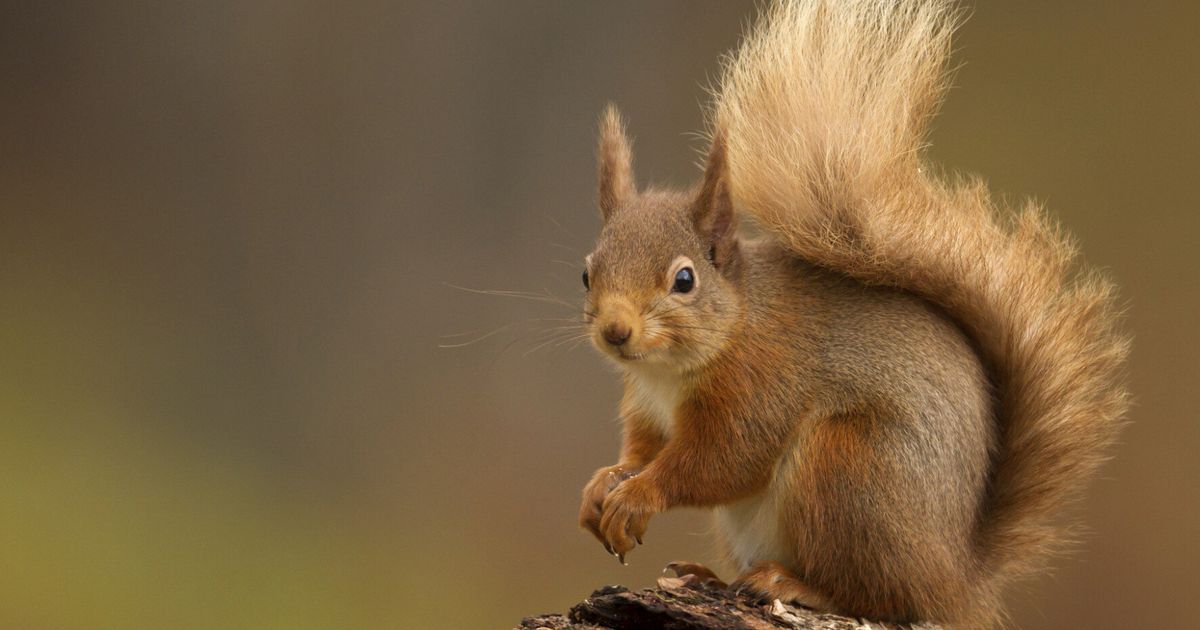 See You In Spring | HuffPost UK News