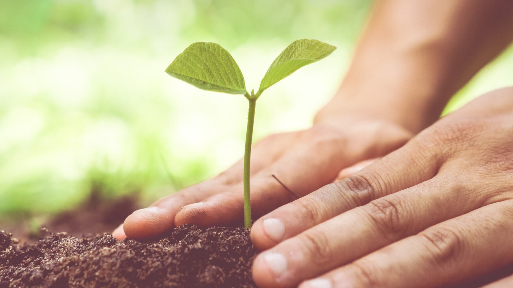 it-s-time-to-celebrate-and-protect-our-soils-huffpost-uk-life