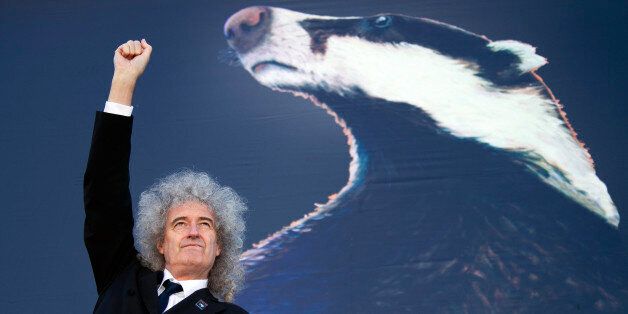 CORRECTS SPELLING OF GESTURES British musician Brian May gestures as he stands on a cherry picker to launch the national Team Badger campaign, in front of a giant billboard, on Cromwell road, west London, Wednesday, Sept. 19, 2012. A rock star is facing off against British farmers, over badgers. The government has issued licenses for the country's first badger cull, and soon snipers will be roaming in search of the animals. But Queen guitarist Brian May is leading a band of badger defenders vowing to stop them. (AP Photo/Joel Ryan)
