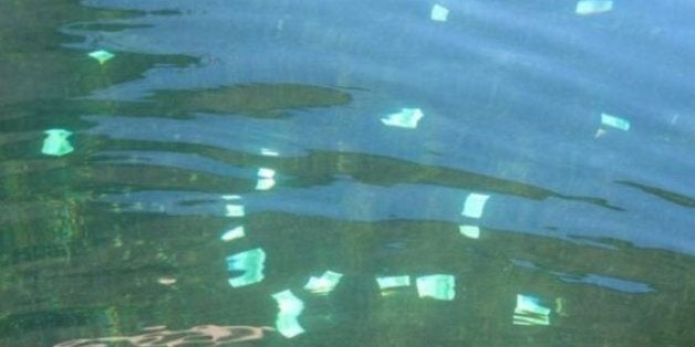 Around €100,000 in notes was found floating in the River Danube