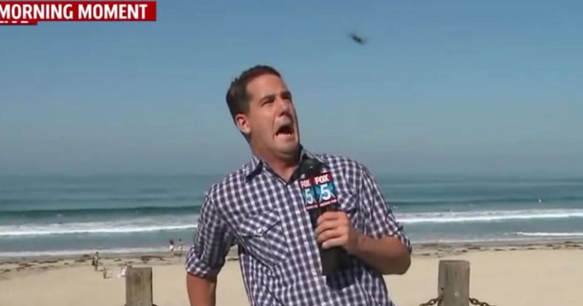 fox-news-reporter-brad-wills-attacked-by-huge-flying-bug-live-on-air